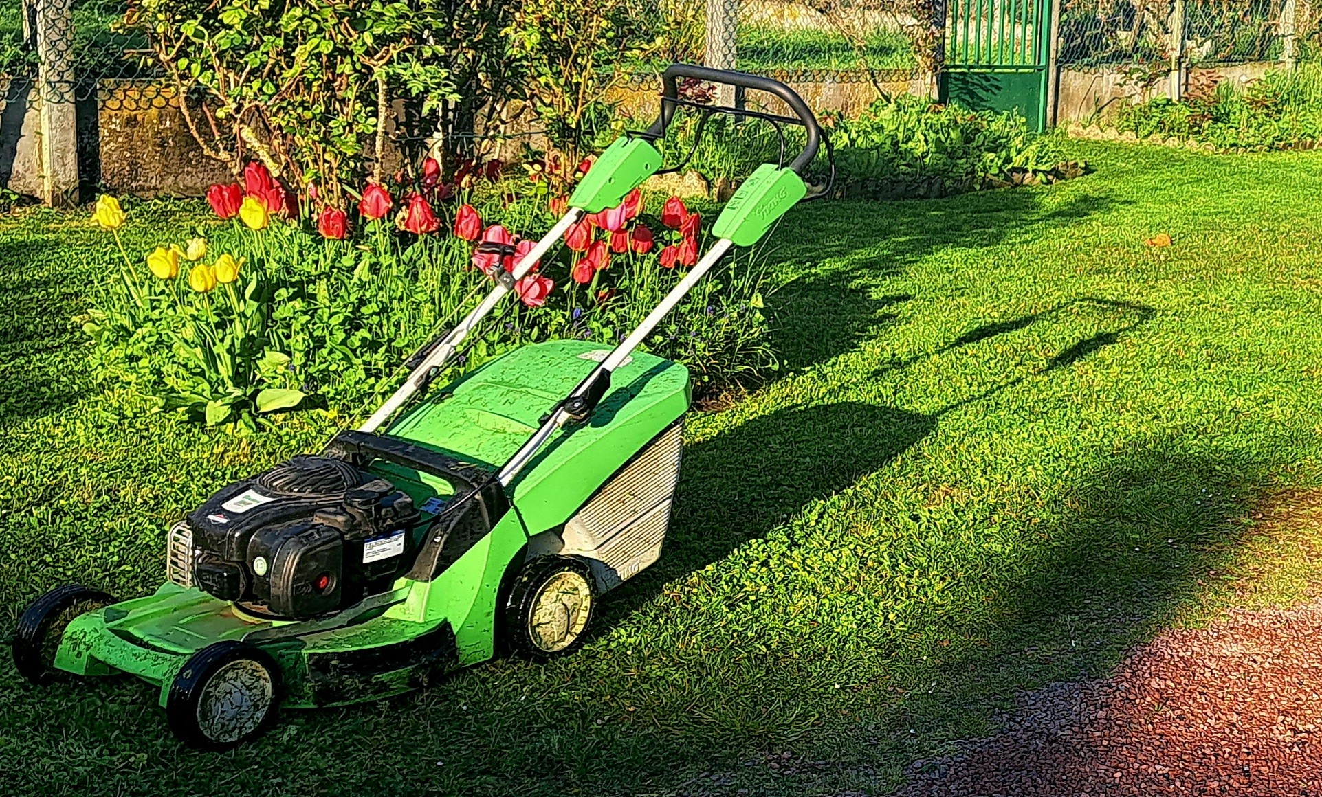 Entretien de jardin