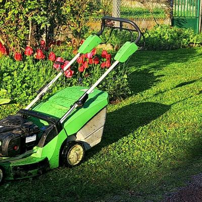 Entretien de jardin